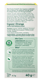 Ingwer-Orange Kräutertee 40 g