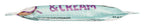 Schokoriegel Coconut & Cream 33 g