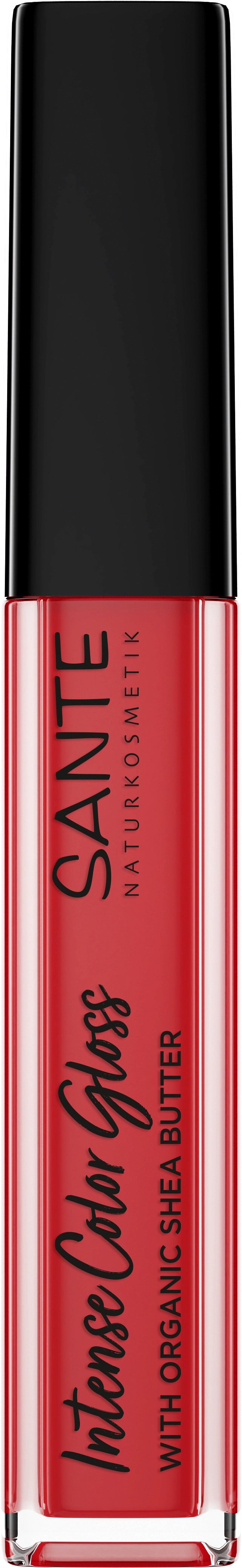 Intense Color Gloss 04 Sparkling Coral 5,3 ml