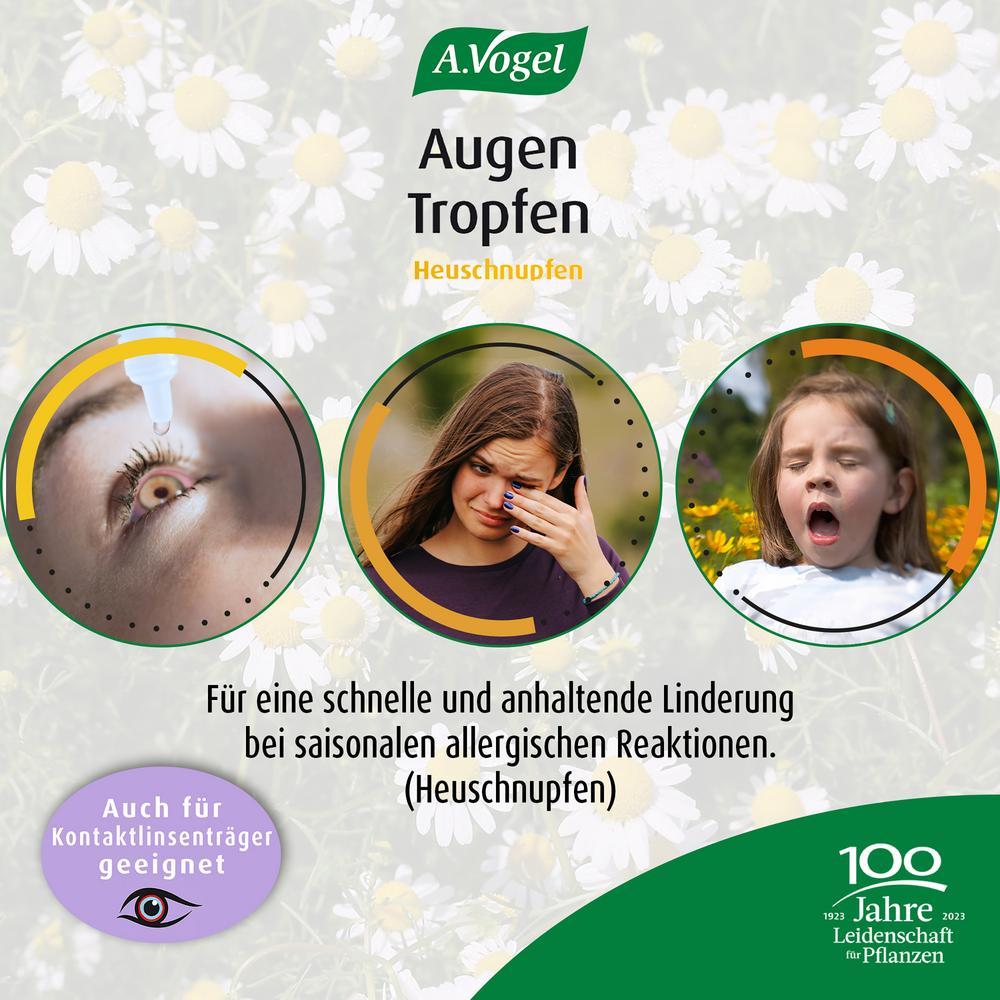 Augen Tropfen Heuschnupfen 10 ml
