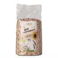 Hanf-Proteinmüsli Basis-Saaten 500 g