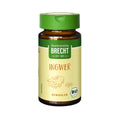 Ingwer gemahlen Glas 25 g