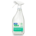 Glasreiniger Spray Mint 500 ml