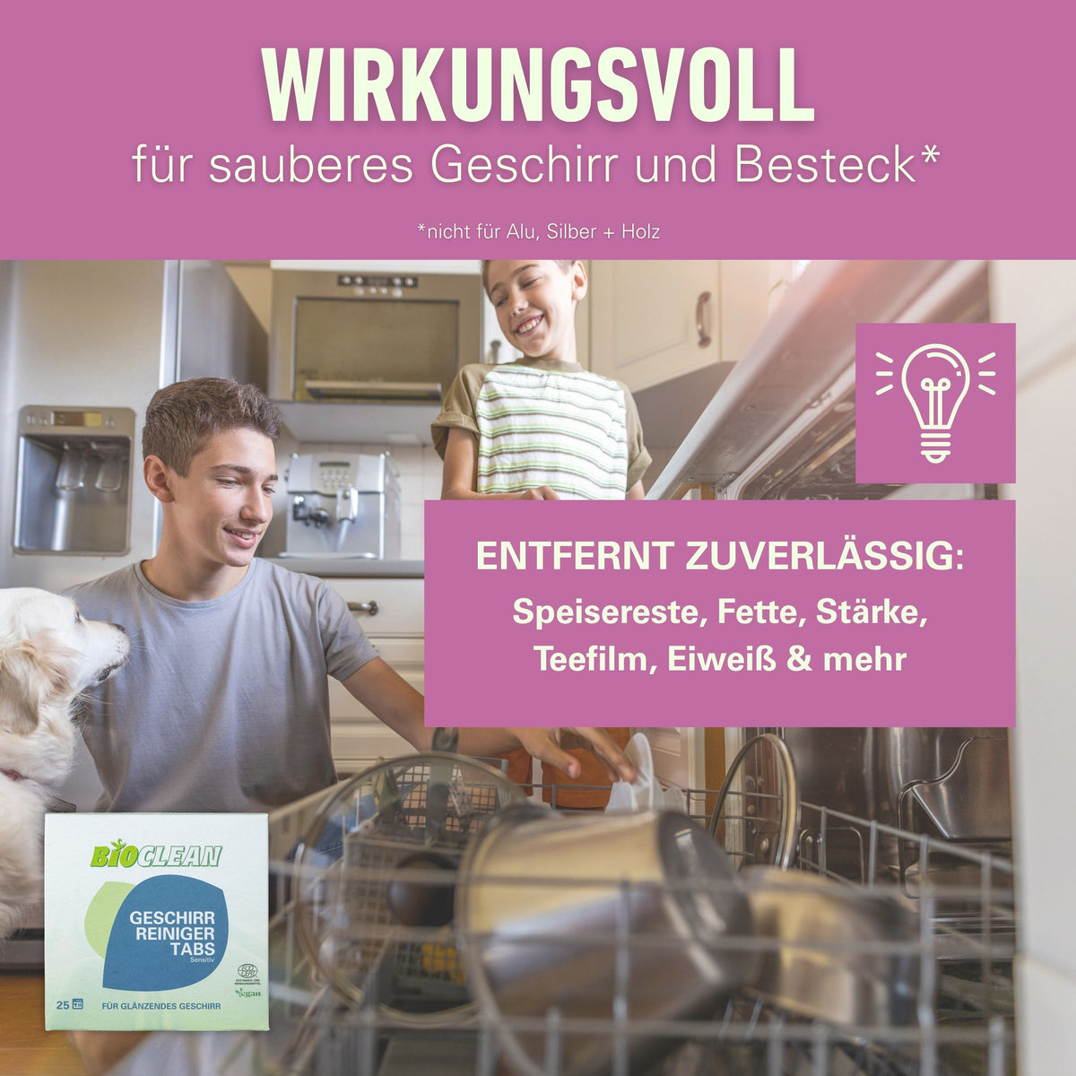 Geschirr-Reiniger Tabs 500 g