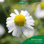 Augen Tropfen Heuschnupfen 10 ml