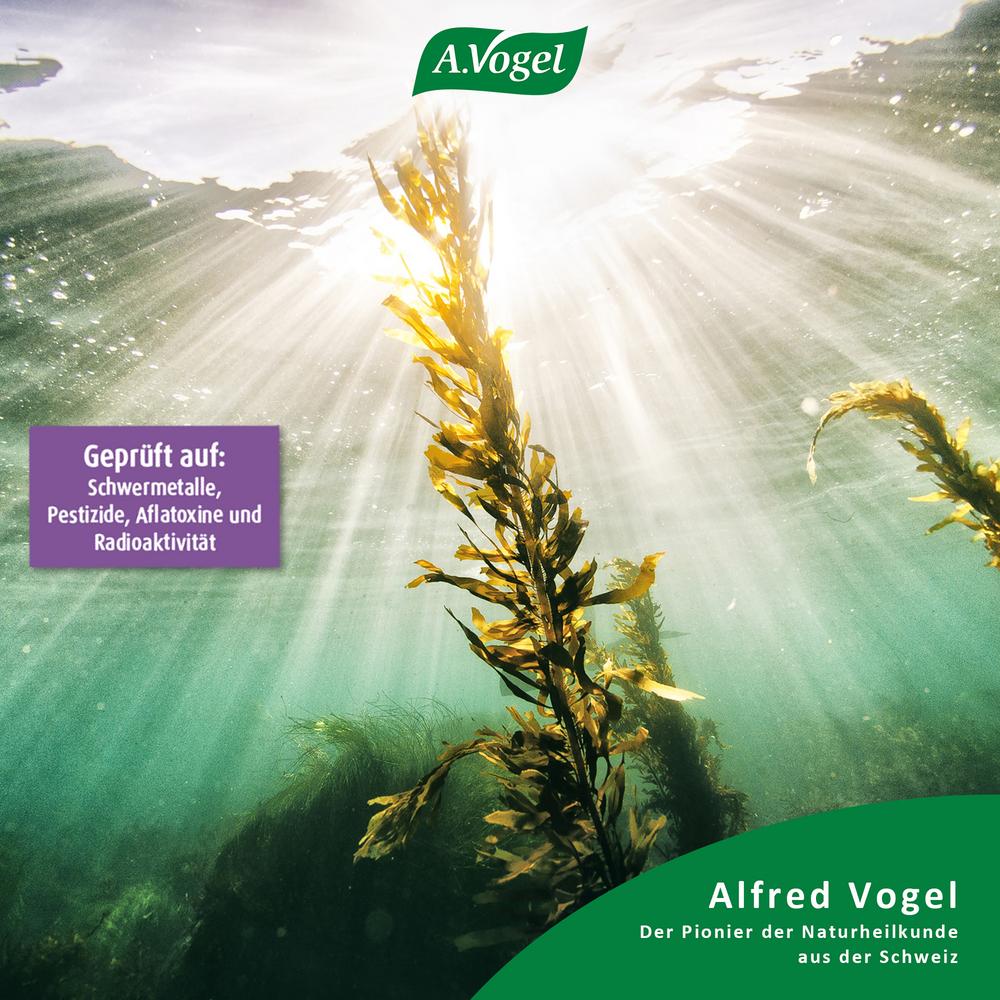 Kelp Jod Tabletten 120Stk