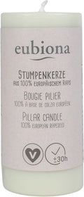 Stumpenkerze Rapswachs 50x110 hellgrün/vert clair/ 1 Stk