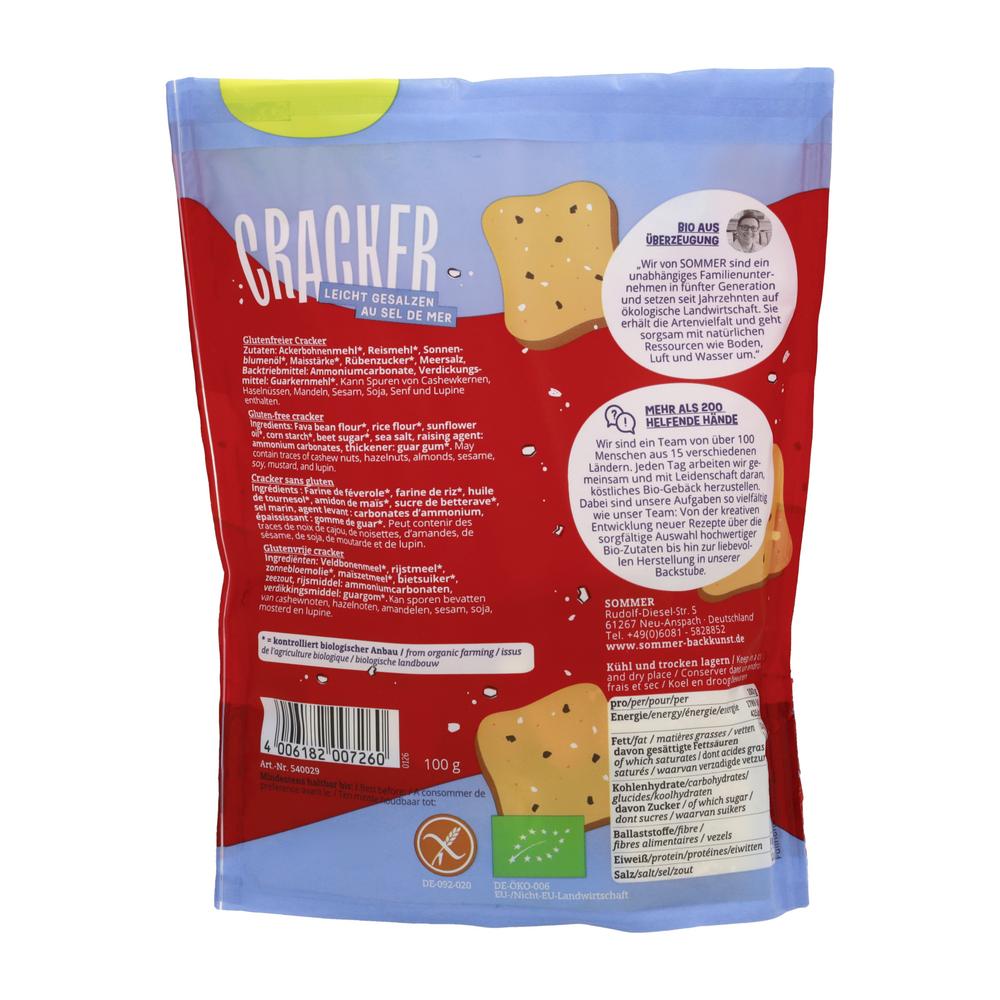 Cracker gesalzen glutenfrei 100 g
