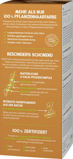 Pflanzenhaarfarbe Pflegekomplex TERRA 04 100 g