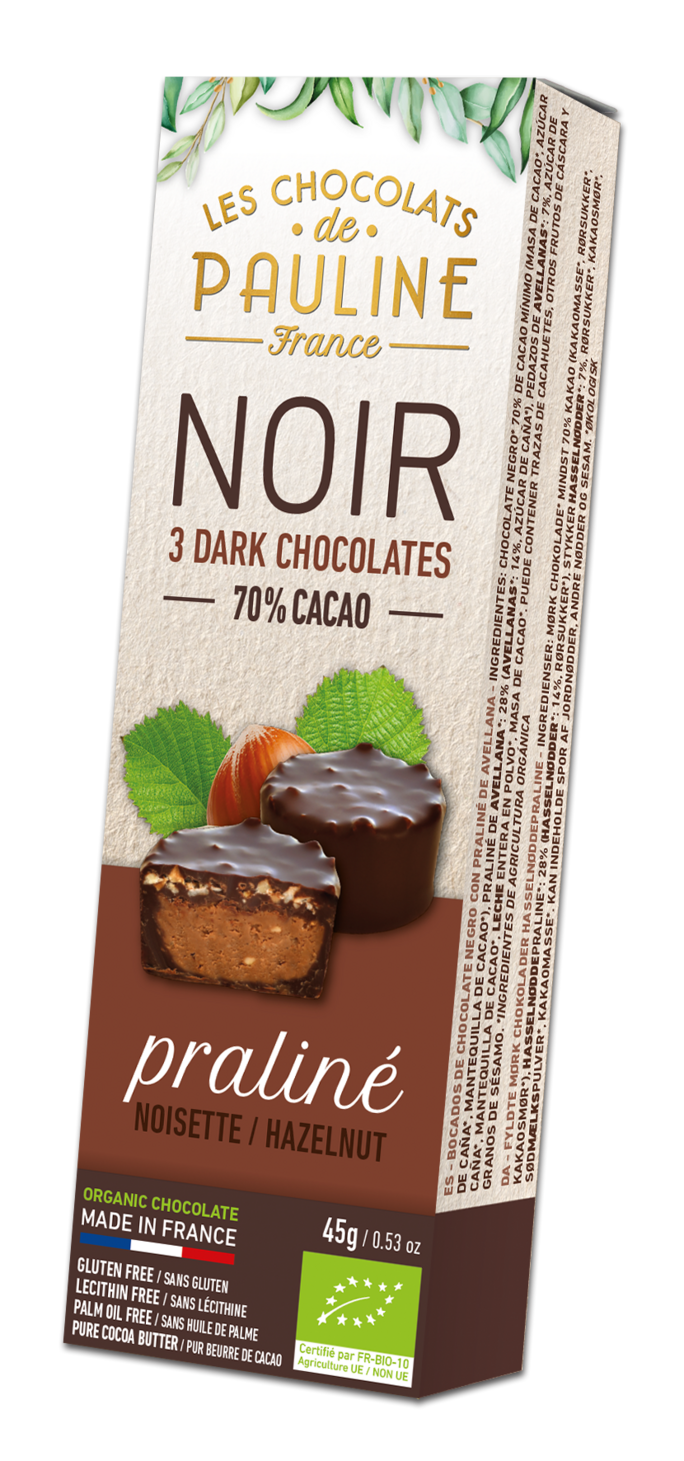 Hazelnut Praline Bites coated with Dark Chocolate 45 g