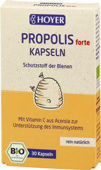 Propolis forte Kapseln 30 Stk