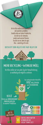 Reis Haselnuss Drink 1 l