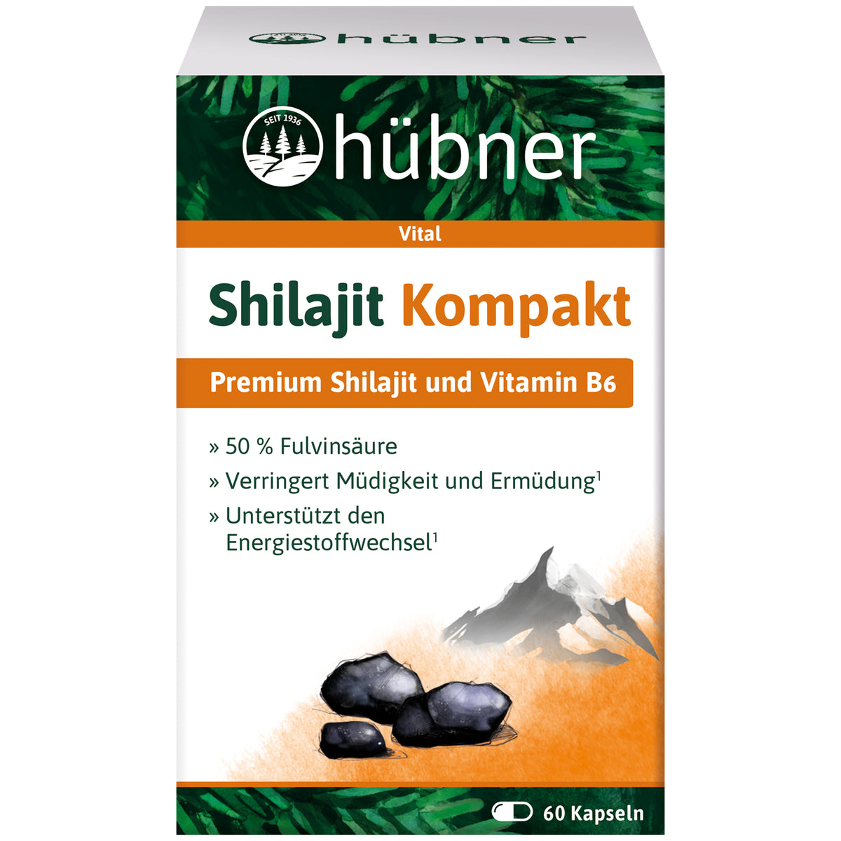 Shilajit Kompakt Kapseln 60 Stk