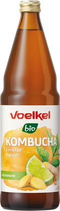 Kombucha Limette & Ingwer 750 ml