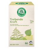 Treibende Kraft Kräutertee mit Birkenblatt 30 g