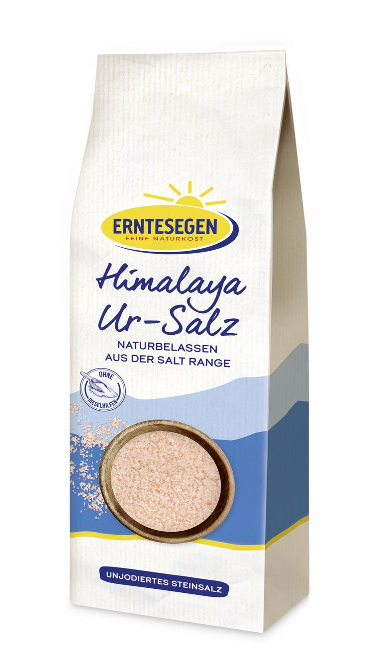 Himalaya Ur-Salz feinkörnig Beutel 1 kg