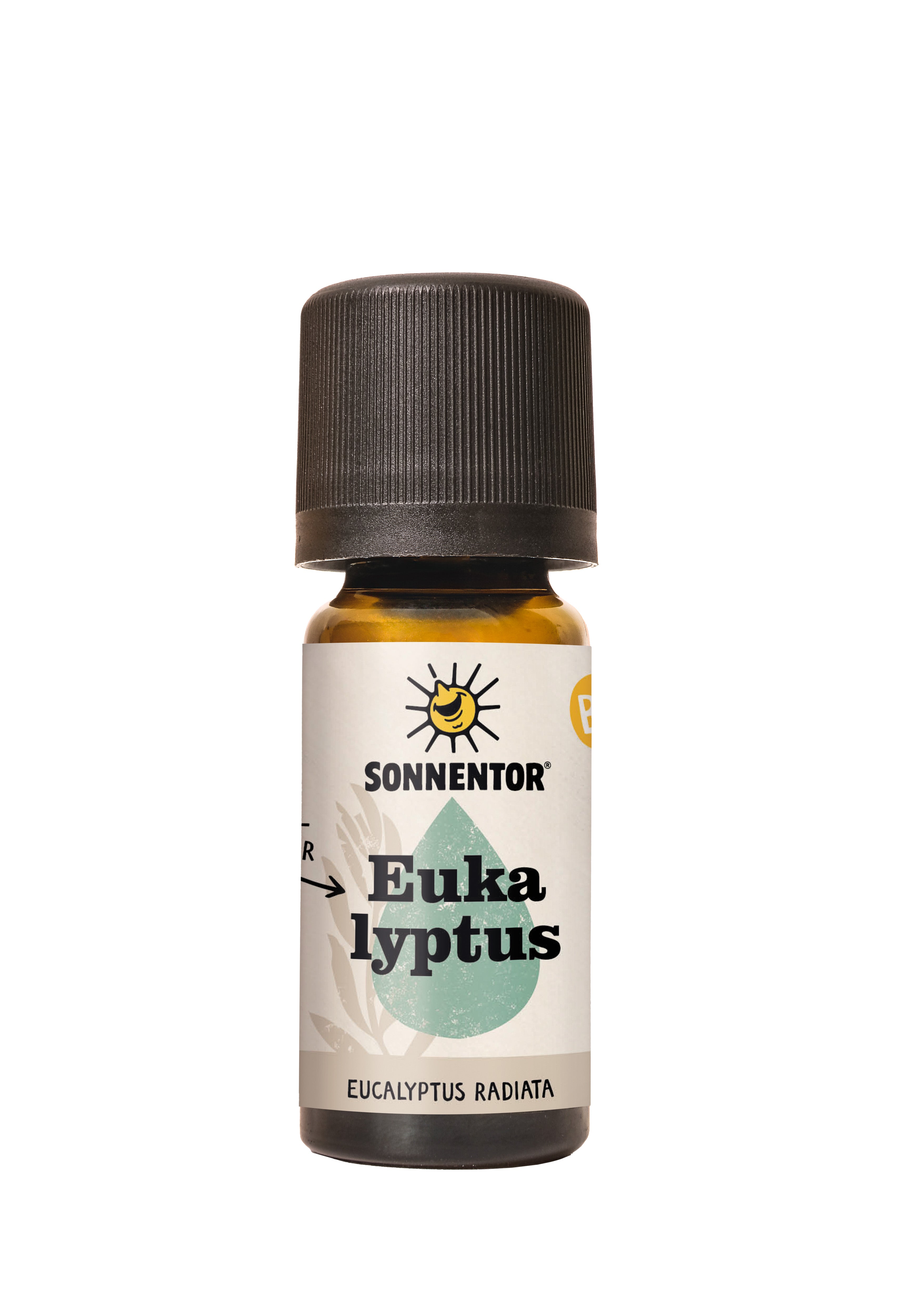 Eukalyptus ätherisches Öl 10 ml