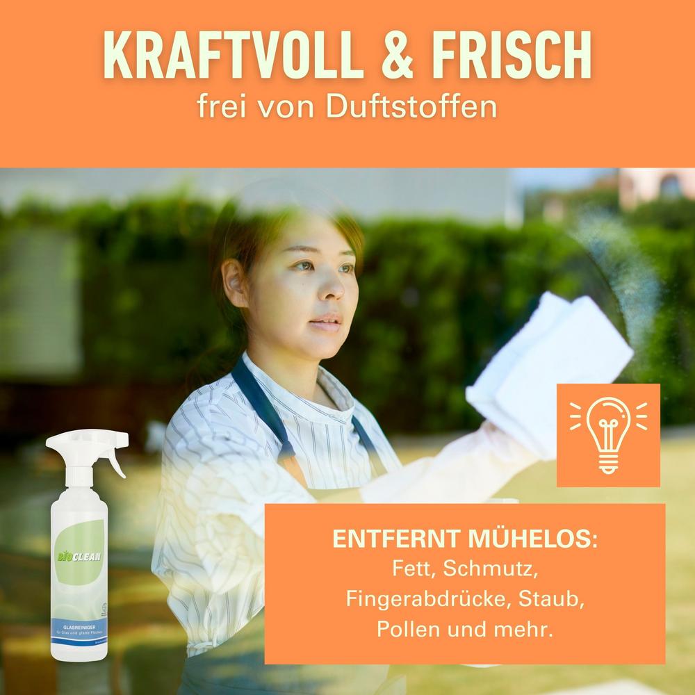 Glasreiniger 500 ml