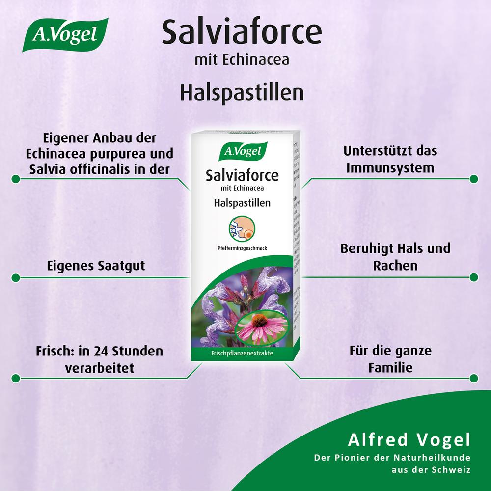 Halspastillen Salviaforce mit Echinacea 1 Stk