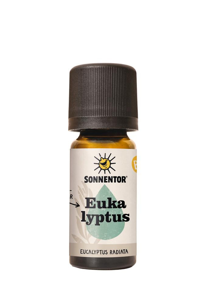 Eukalyptus ätherisches Öl 10 ml