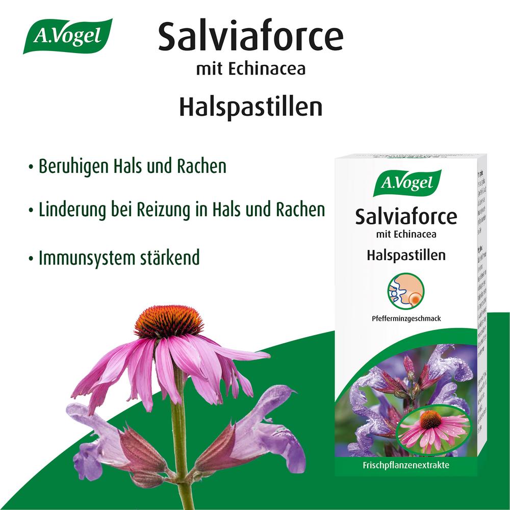 Halspastillen Salviaforce mit Echinacea 1 Stk