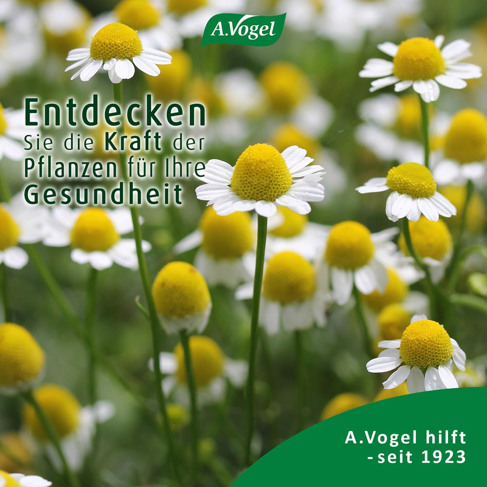 Augen Tropfen Heuschnupfen 10 ml