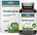 Gerstengras Pulver 120 g