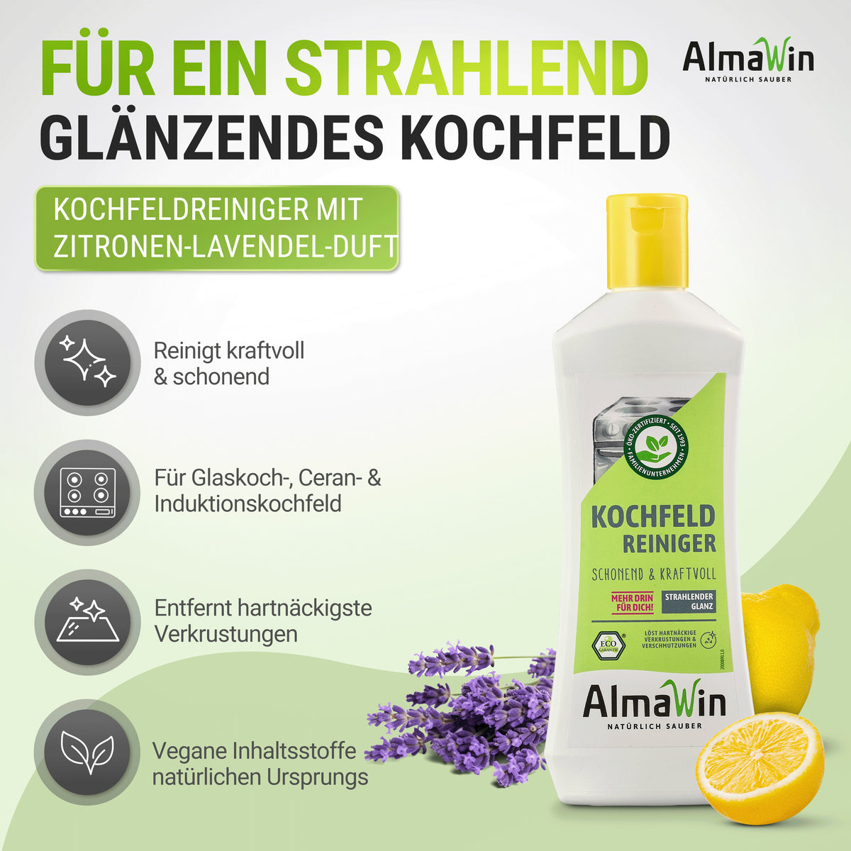 Kochfeld Reiniger 250 ml