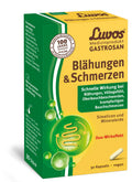 Gastrosan Blähungen & Schmerzen Kapseln 30 Stk